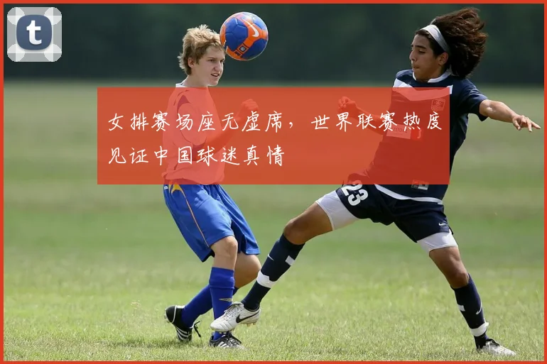 女排赛场座无虚席，世界联赛热度见证中国球迷真情